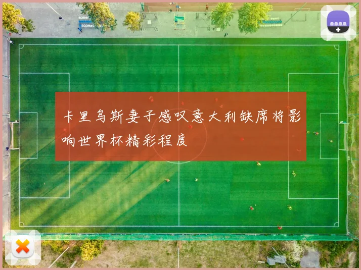 卡里乌斯妻子感叹意大利缺席将影响世界杯精彩程度