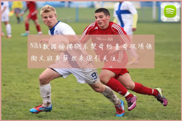 NBA数据榜揭晓东契奇约基奇双项领衔文班奥萨尔表现引关注